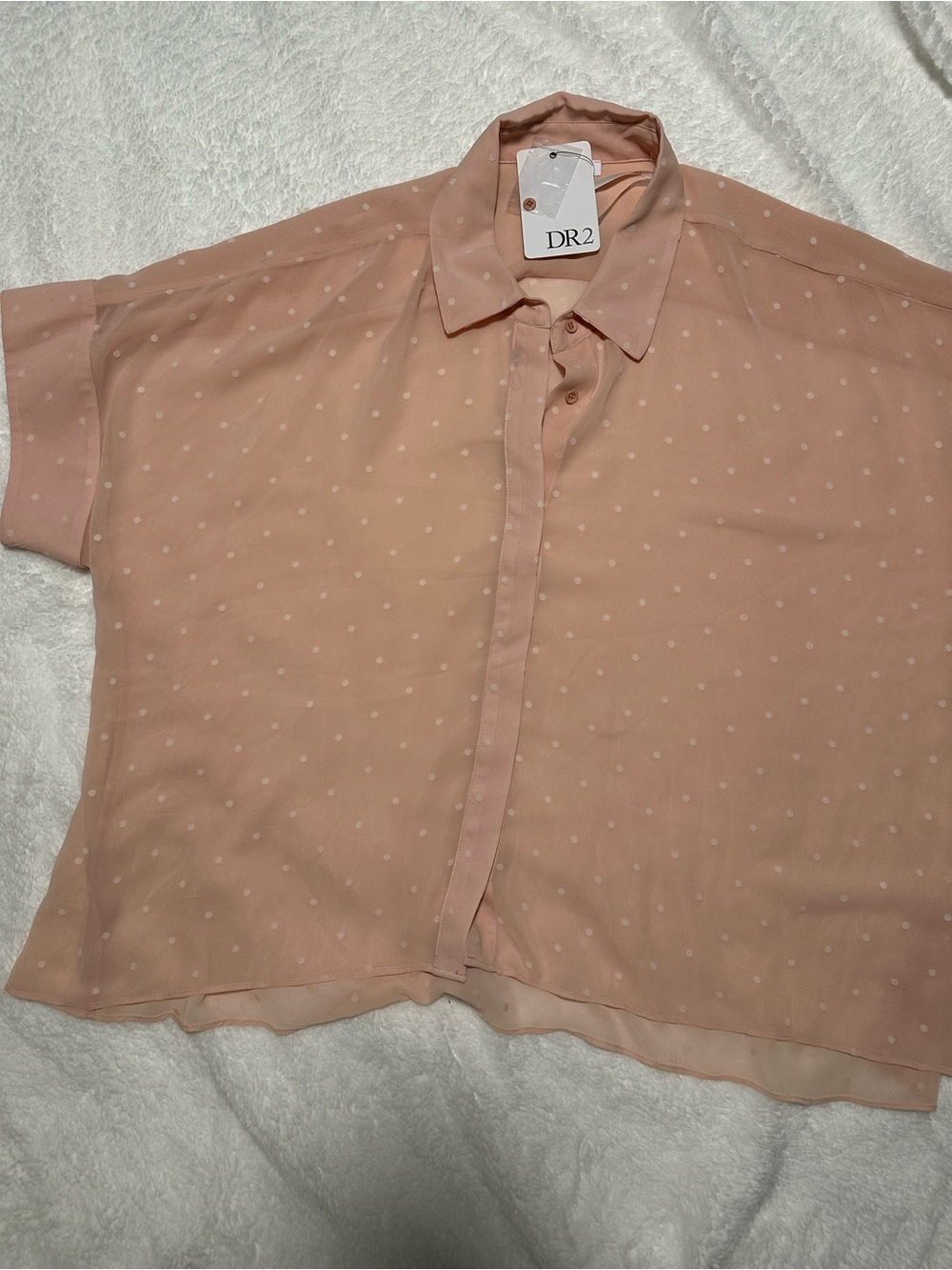 DR2 Soft Peach Polka Dot Sheer Button-Front Blouse